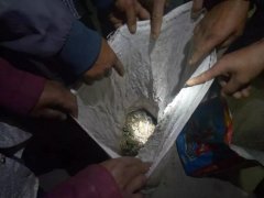  “啥？抓幾個青蛙還犯法？”或許西寧環(huán)保驗收公司