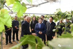 內(nèi)蒙古自治區(qū)主席：全力做好大氣污染聯(lián)防聯(lián)控聯(lián)治工作 確?！八{(lán)天保衛(wèi)戰(zhàn)”圓滿收官青海水土保持代辦公司