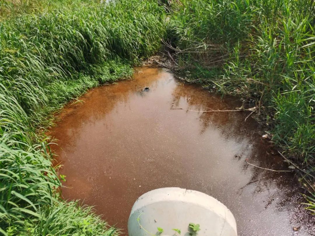 山東寧陽化工產(chǎn)業(yè)園工業(yè)污水長期直排 環(huán)境污染問題突出青海防洪評價